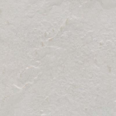 Tesoro Trolical 13 X 13 White Tile & Stone