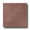 Tesoro Zendo 6.5 X 6.5 Brown Tile & Stone