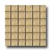 Tilecrest Alicia Mosaic Taupe Mosaic Tile & Stone