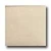 Tilecrest Bellisima 6 X 6 Linen Gloss Tile & Stone