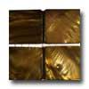 Tilecrest Shell Series Glas sMosaic Conus Gold Tile & Stone