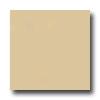 United States Ceramic Tile Color Collection 4 X 4 Matte Glaze Maize Tile & Stone