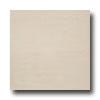 United States Ceramic Tile Luxor 12 X 12 Unpolished Ivory Tile & Stone