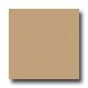 United States Ceramic Tile Color Collection 4 X 4 Bright Glaze Camel Tile & Grave~