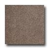 United States Ceramic Tile Color Collection Floor Speckle Mocha Speckle Tile & Stone