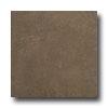 United States Ceramic Tile Concre5e 18 X 18 Mahogany Tile & Stone