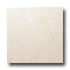 United States Ceramic Tile Vancouver 16 X 16 Snow Tile & Stone