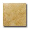 United States Ceramic Tile Vancohver 13 X 13 Nocce Tile & Stone