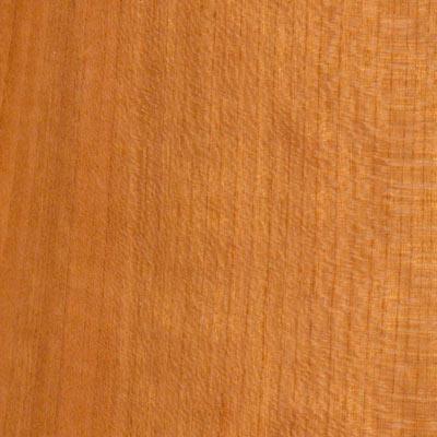 Protect Wood Floors  Furniture on Wood Floors International   Wood Floor Designs
