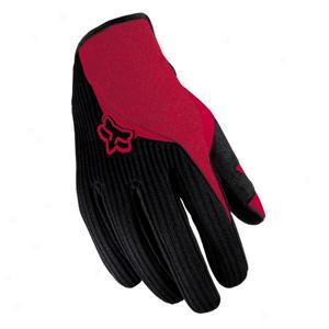 2006 Thermalpaw Glove