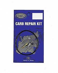 Carburetor Repair Kit (no Main Or Pilot Jets)