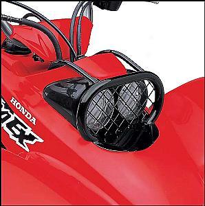 Headlight Brush Guard