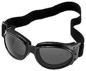 Max Extreme Goggle