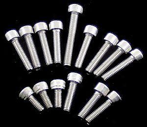 Stainless Clutch And Water Pump Cover Bolt Kit