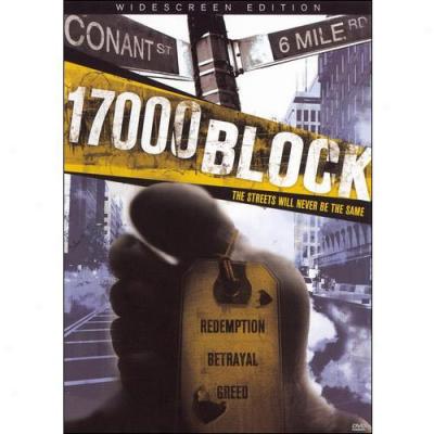 17000 Block (widescreen)