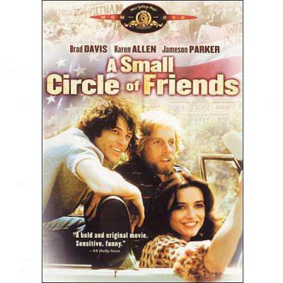 A Small Circle Of Friends (widescreen)