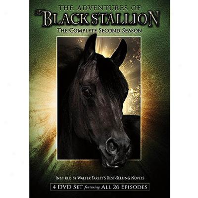 Adventures Of Black Stallion ,The (full Frame)