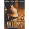 Adventures Of Ned Blessing: Return Of The Hooded Man,_The (full Frame)