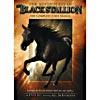 Adventures Of The Black Stallion: The Complete First Season, The