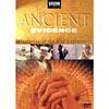 Ancient Evidence: Mysteries Of The Old Testament (full Frame)