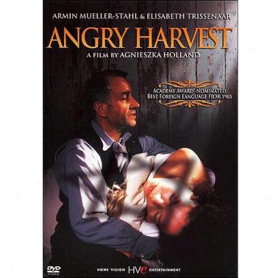 Angry Harvest