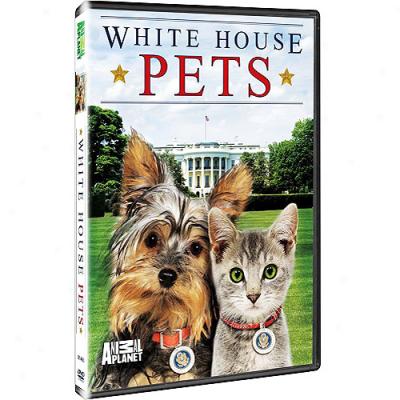 Animal Planet: White House Pets (full Frame)