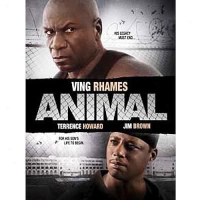 Animal (widescreen)