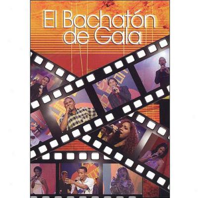 Bachaton De Gala