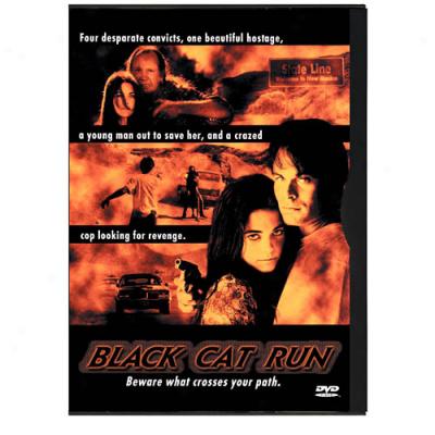 Black Cat Run