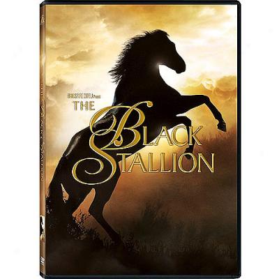 Black Stallion (full Frame, Widescreen)