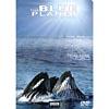 Blue Planet: Seas Of Life - Tidal Seas/coasts, The