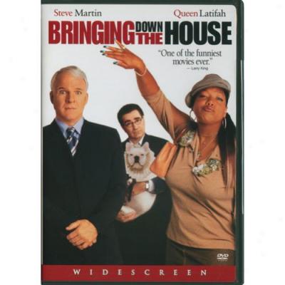 Bringing Down The House (widescreen)