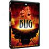 Bug (widescreen)