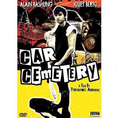 Car Cemetery (widescreen)