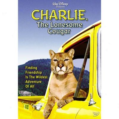 Charlie, The Lonesome Cougar (full Frame)