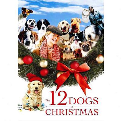 Chicken Soup For The Soul Presents: The 12 Dogs Of Christmas