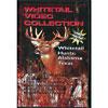 Classic Whitetail Hunts Collection, Vol.5