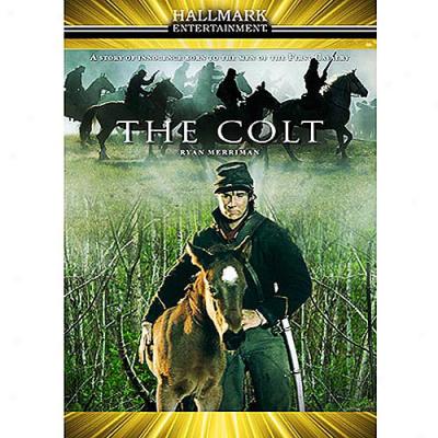 Colt, The (Exactly Frame)