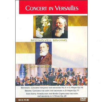 Concert In Versailles