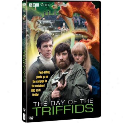 Day Of The Triffids (1981), The