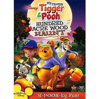 Disney My Friends Tigger & Pooh: Hundred Acre Wood Haunt (full Frame)