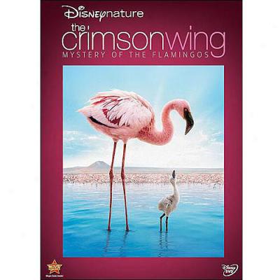 Disneynature: Crimson Wing - The Mystery Of Thw Flamingo (widescreen)