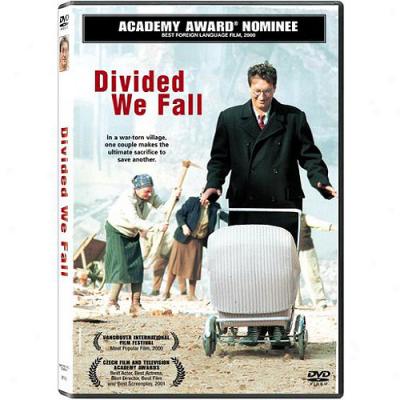 Divided We Fall (widescreen)