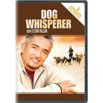 Dog Whisperer With Cesar Millan: Aggression (Yearly  Edition)