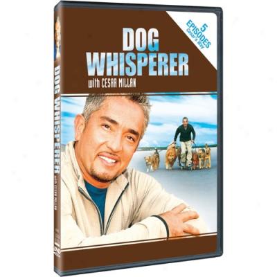 Dog Whisperer With Cesar Millan: Stories From Cesar's Way (full Frame)