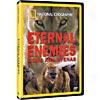 Eternal Enemies: Lions And Hyenas (full Frame)