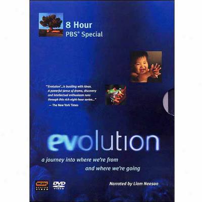 Evolution Box Set (4-disc)