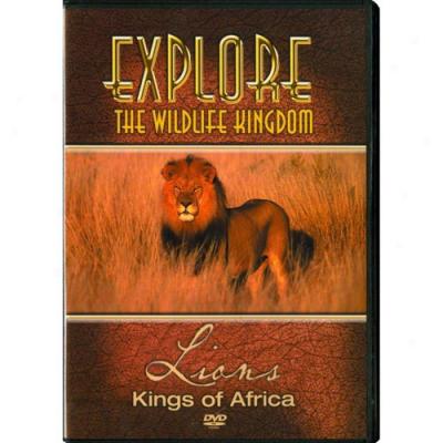 Explore The Wildlife Knigdom: Lions - Kings Of Africa