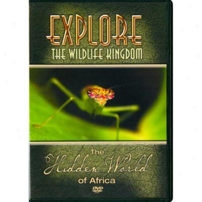 Explore The Wildlife Kingdom Series: The Hidden Planet Of Africa