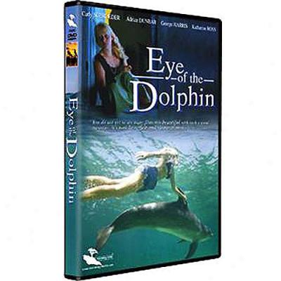 Eye Of The Dolphin (full Frame)